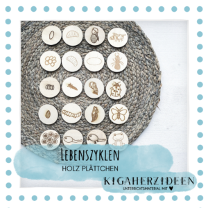 Lebenszykus - Ameise, Biene, Frosch, Marienkäfer, Schmetterling