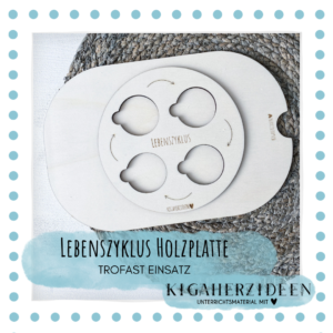 Lebenszyklus Holzplatte